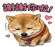 841247835