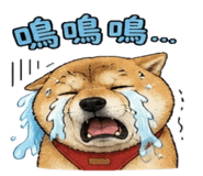 841247841
