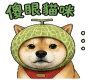 841247843