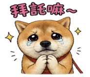 841247845