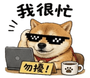 841247847