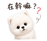 841247855