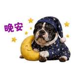 841247905