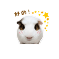 841248546