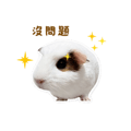 841248547