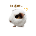 841248548