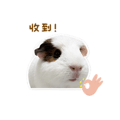 841248549