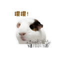 841248550
