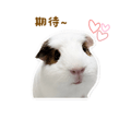 841248552