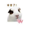 841248553