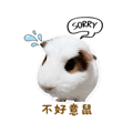 841248557
