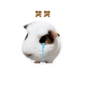 841248563