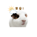 841248567