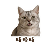 841248598
