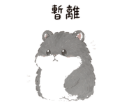 841249020