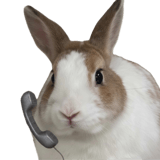 841249119