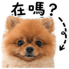841249554