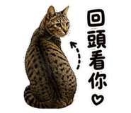 841249678