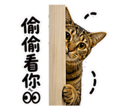 841249679