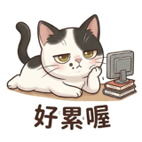 841249843