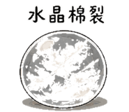 841250117