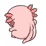 841250601