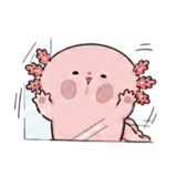 841250633