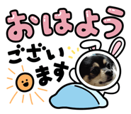 841251003