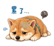 841251812