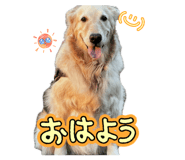 841251988