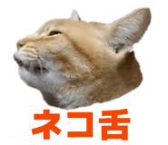 841252402