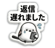 841252552