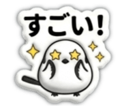 841252559