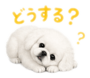 841252574