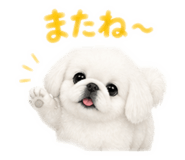 841252578