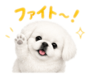 841252600