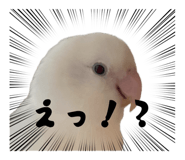 841252690