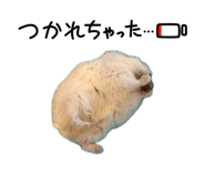 841252695