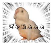 841252701