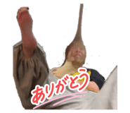 841252720