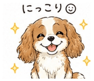 841252996