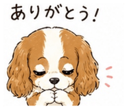 841253005