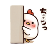 841253020