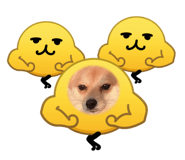 841253169