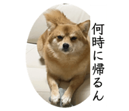 841253173