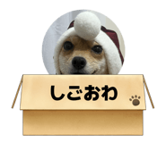 841253179