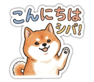 841253474