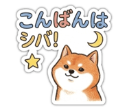 841253475