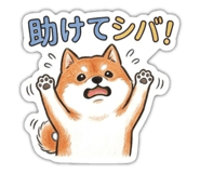 841253492