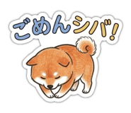 841253495